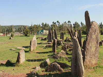 Tiya stelae field