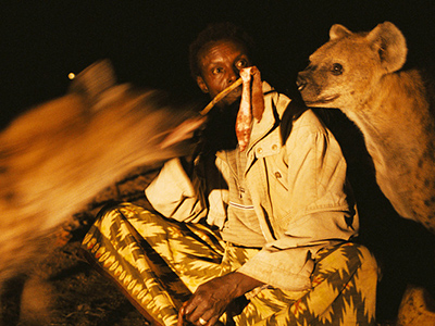 Hyenas’ evening meal in Harar - Mohammed Torche